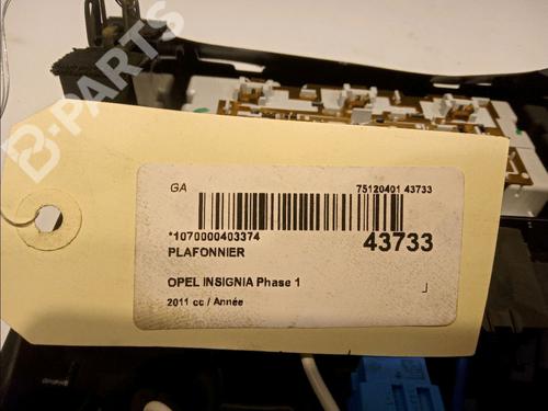 Interior roof light OPEL INSIGNIA A (G09) 2.8 V6 Turbo OPC 4x4 (68) | BP11267580I8 