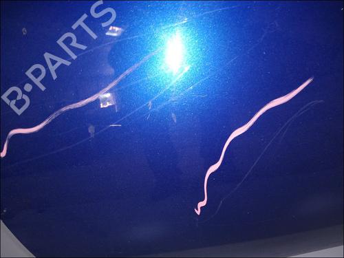 Tailgate RENAULT TWINGO II (CN0_) 1.2 16V (CN0K, CN0V, CN0A) | BP11103706C6