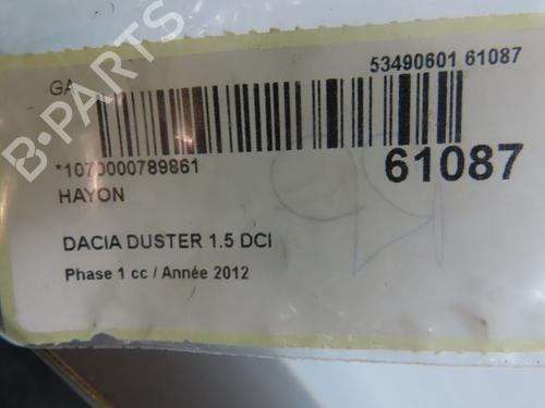 Used Tailgate Tailgate DACIA DUSTER (HS_) 1.5 dCi (HSMC) (107 hp) 39938111 39938111
