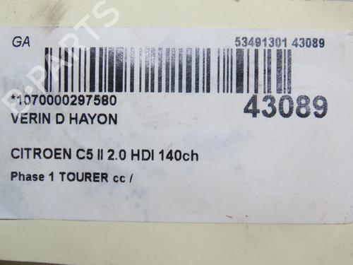 Tailgate lift support CITROËN C5 III Break (RW_) 2.0 HDi | BP15274075C138 