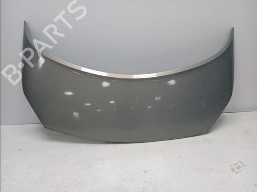 Used Hood RENAULT SCÉNIC II (JM0/1_) 1.9 dCi (JM0G, JM12, JM1G, JM2C) (120 hp) 11101971