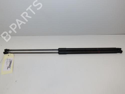 Used Tailgate lift support NISSAN JUKE (F15) 1.5 dCi (110 hp) 17488357