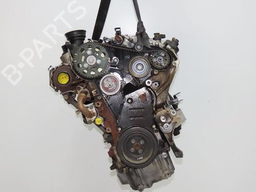 Engine VW PASSAT B6 (3C2) 2.0 TDI 16V | BP40162838M1 - Image 6