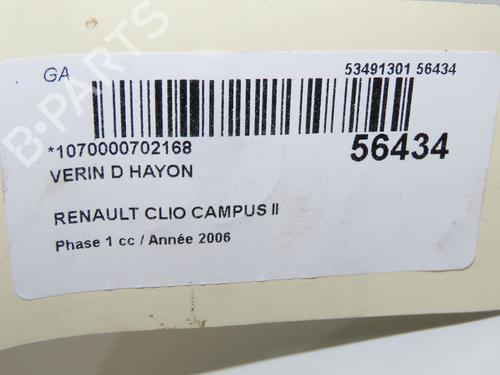 Used Tailgate lift support RENAULT CLIO II (BB_, CB_) 1.5 dCi (B/C2J) (68 hp) 31748029