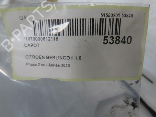 Used Hood CITROËN BERLINGO Box Body/MPV (B9) 1.6 HDi 90 (90 hp) 28831041