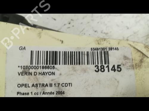 Used Tailgate lift support OPEL ASTRA H (A04) 1.7 CDTI (L48) (100 hp) 14879785