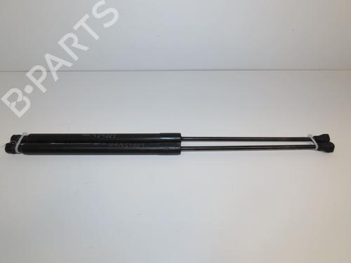Used Tailgate lift support Tailgate lift support DACIA LOGAN MCV II TCe 90 (K8M1, K8MA, K8AC) (90 hp) 22920172 22920172