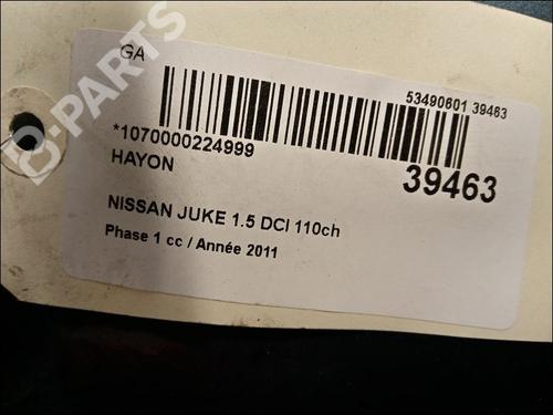 Tailgate NISSAN JUKE (F15) 1.5 dCi | BP9606925C6