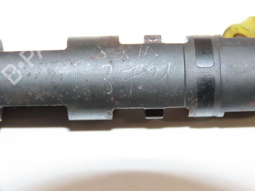 Used Injector RENAULT CLIO III (BR0/1, CR0/1) [2005-2014]  28828856