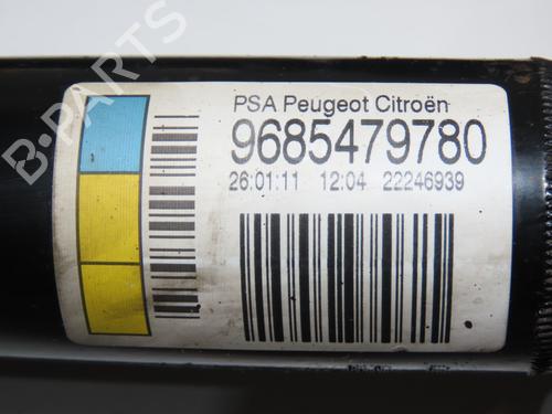 Right rear shock absorber CITROËN C3 II (SC_) 1.4 | BP31120333M19