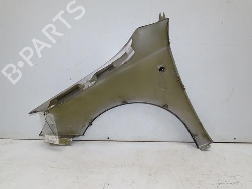 Right front fenders SKODA FABIA II (542) 1.6 TDI | BP28830893C42 