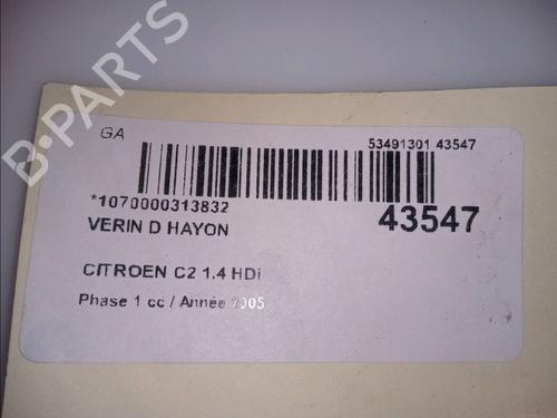 Tailgate lift support CITROËN C2 (JM_) 1.4 HDi | BP14880089C138 