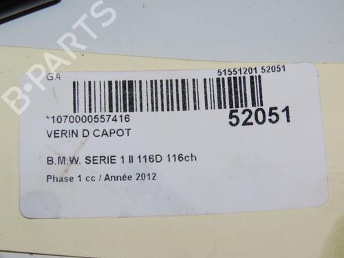 Hood lift support BMW 1 (F20) 116 d | BP22524642C139 