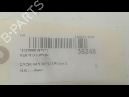 Used Tailgate lift support DACIA SANDERO II TCe 90 (B8M1, B8MA, B8AC) (90 hp) 14879675