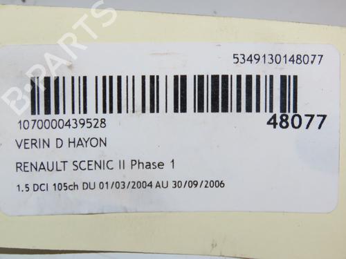 Tailgate lift support RENAULT SCÉNIC II (JM0/1_) 1.5 dCi (JM1E, JM16) | BP16740909C138 