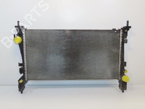 Used Water radiator FIAT FIORINO MPV (225_) 1.3 JTD Multijet (95 hp) 29415115