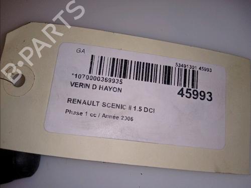 Tailgate lift support RENAULT SCÉNIC II (JM0/1_) 1.5 dCi (JM1E, JM16) | BP14880200C138 