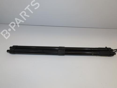 tailgate-lift-support-ford-c-max-ii-dxacb7-dxaceu-2010-2011-2012-2013-2014-2015-2016-2017-2018-2019-29318806 main image