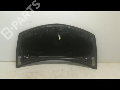 Hood RENAULT CLIO III (BR0/1, CR0/1) 1.5 dCi (C/BR0G, C/BR1G) | BP9598014C1 