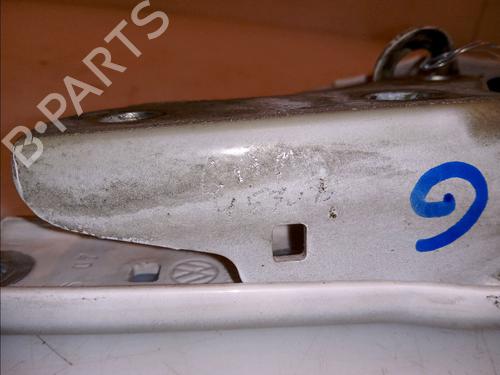 Hinge/Door check strap VW POLO (9N_, 9A_) 1.4 TDI | BP14878989C146 
