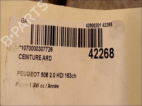 rear-right-belt-tensioner-peugeot-508-sw-i-8e_-20-hdi-16105794xx-2010-2011-2012-2013-2014-2015-2016-2017-2018-9617170 main image