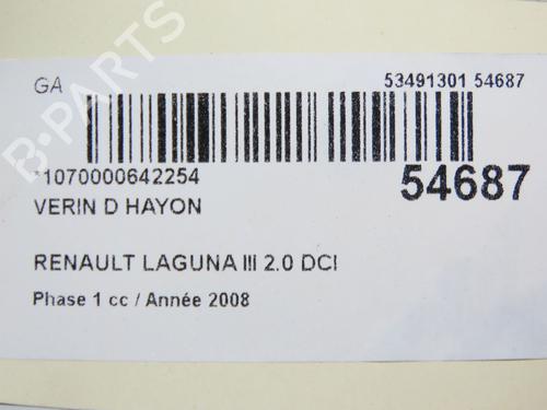 Tailgate lift support RENAULT LAGUNA III (BT0/1) 2.0 dCi (BT07, BT0J, BT14, BT1A, BT1S) | BP28832316C138 