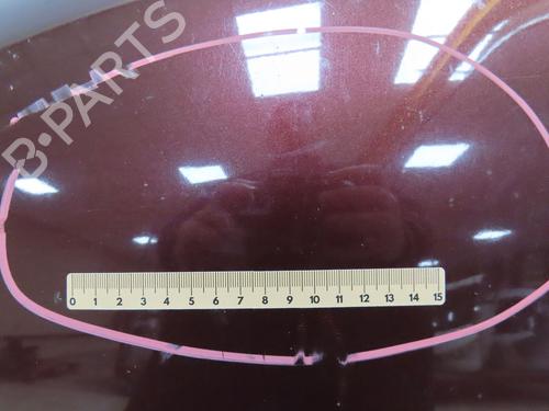 Hood SKODA FABIA II (542) 1.4 TDI | BP28831012C1 