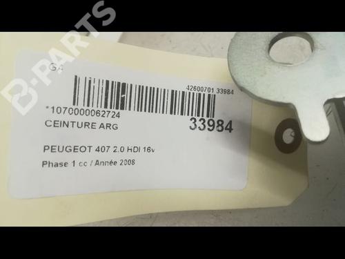 Rear left belt tensioner PEUGEOT 407 SW (6E_, 6D_) 2.0 HDi 135 | BP9595137C89 