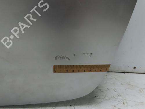 Tailgate RENAULT CLIO III (BR0/1, CR0/1) 1.5 dCi (BR17, CR17) | BP28802181C6 