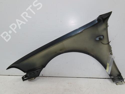 Right front fenders VW PASSAT B5.5 (3B3) 1.9 TDI | BP24821533C42 