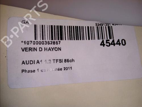 Tailgate lift support AUDI A1 (8X1, 8XK) 1.2 TFSI | BP14880171C138 