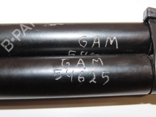 Tailgate lift support RENAULT ESPACE III (JE0_) 2.0 (JE0A) | BP28969321C138 