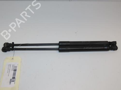Pansergassdemper RENAULT KANGOO Express (FW0/1_) 1.5 dCi 75 (FW07, FW10, FW04) (75 hp) 24358960