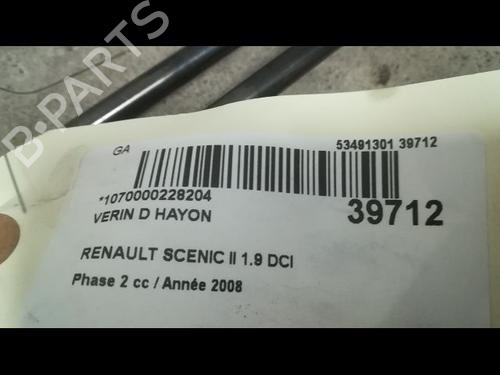 Tailgate lift support RENAULT SCÉNIC II (JM0/1_) 1.9 dCi (JM14) | BP14879888C138 