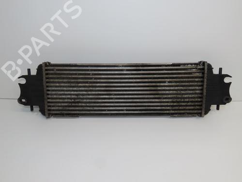 Other RENAULT TRAFIC II Bus (JL) 1.9 dCI 80 (JL0B) | BP31120004O1