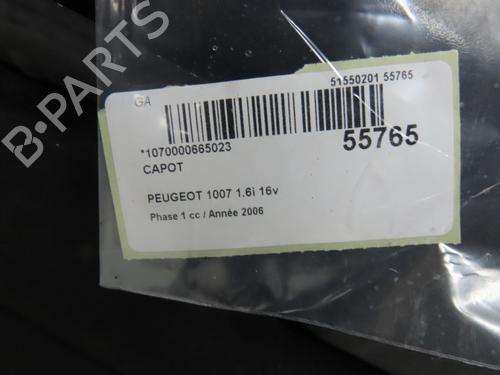 Hood PEUGEOT 1007 (KM_) 1.6 16V | BP30978863C1