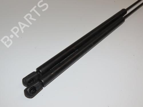 Tailgate lift support RENAULT SCÉNIC I MPV (JA0/1_, FA0_) 1.9 dCi (JA05, JA1F) | BP30916928C138
