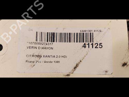 Tailgate lift support CITROËN XANTIA (X1_, X2_) 2.0 HDI 109 | BP14879984C138 