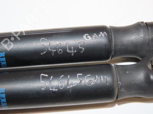 Gassdemper Bakluke RENAULT MEGANE II (BM0/1_, CM0/1_) 1.6 16V | BP29469782C138