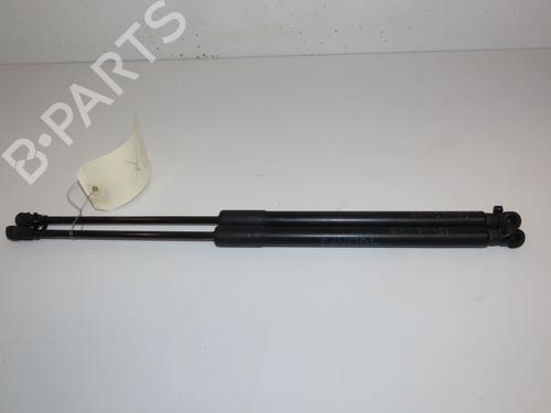 Tailgate lift support BMW 1 (F20) 114 d | BP26381295C138