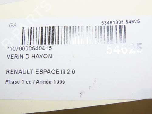 Tailgate lift support RENAULT ESPACE III (JE0_) 2.0 (JE0A) | BP28969321C138 