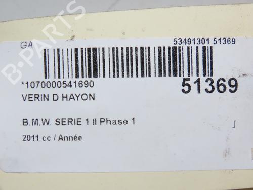 Tailgate lift support BMW 1 (F20) 118 i | BP22524694C138