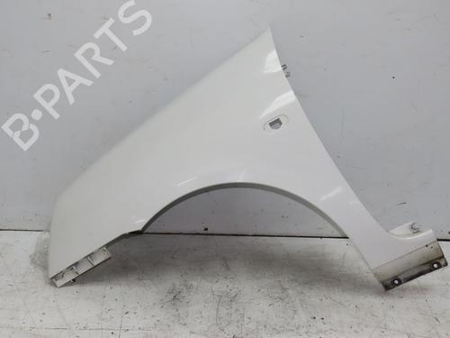 Left front fenders RENAULT CLIO II (BB_, CB_) 1.5 dCi (B/CB08) | BP29196002C41 