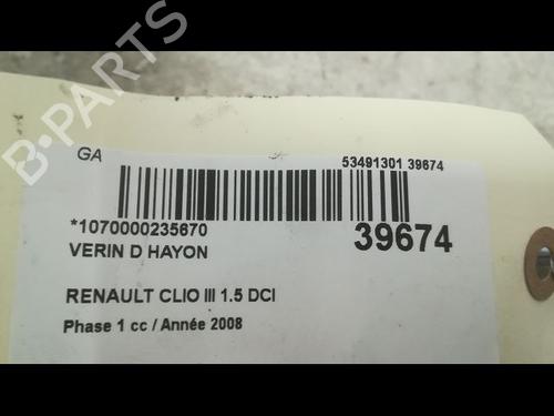 Tailgate lift support RENAULT CLIO III (BR0/1, CR0/1) 1.5 dCi (C/BR0G, C/BR1G) | BP14879885C138 