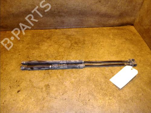 Used Tailgate lift support FIAT BRAVO II (198_) 1.9 D Multijet (198AXB1A) (120 hp) 14879987
