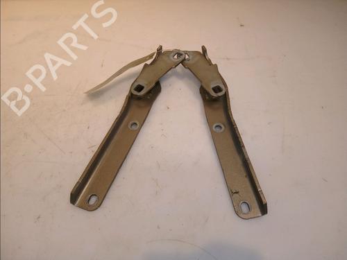 Hinge/Door check strap CITROËN C6 (TD_) 2.2 HDi | BP14878922C146