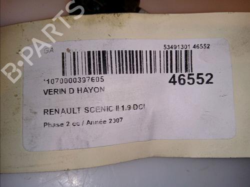 Tailgate lift support RENAULT SCÉNIC II (JM0/1_) 1.9 dCi (JM14) | BP14880218C138 