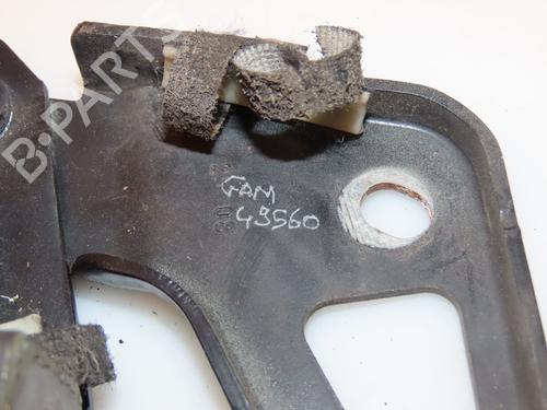 Hinge/Door check strap AUDI Q7 (4LB) 3.0 TDI quattro | BP16538000C146 