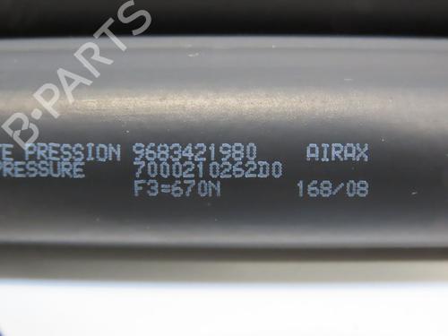 tailgate-lift-support-peugeot-308-sw-i-4e_-4h_-2007-2008-2009-2010-2011-2012-2013-2014-28969302 main image