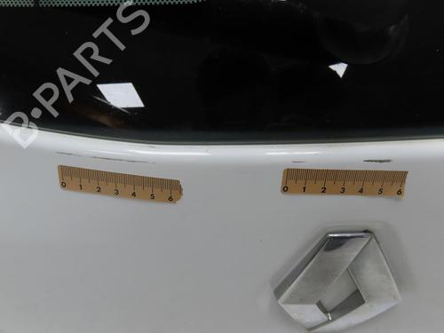 Tailgate RENAULT MEGANE III Hatchback (BZ0/1_, B3_) 1.5 dCi (BZ1G, BZ1W, BZ0R) | BP28832199C6 